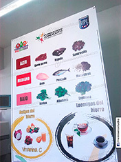 Impresión de banner para parante araña, 13 onzas, 2400 dpi con ojales en las 4 esquinas, pedido especial para la Fundación Ajinomoto