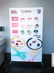 Parante tipo Araña modelo X-Banner Stand, impresión de banner para la Fundación Ajinomoto