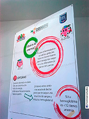 Parante Araña 1.2 × 2 metros para Fundación Ajinomoto